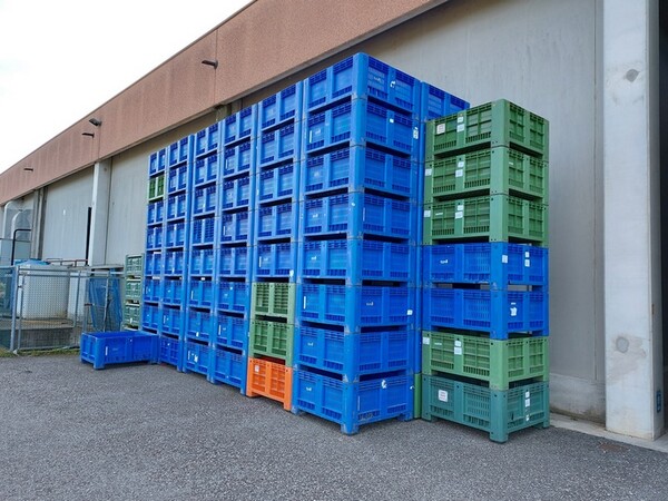 2#6010 Macchinari e attrezzature lavorazione prodotti ortofrutticoli in vendita - foto 41