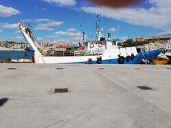 Motopeschereccio per la pesca a strascico - Lotto 1 (Asta 6023)