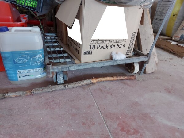 1#6033 Attrezzature per officina in vendita - foto 29