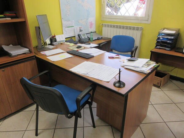 1#6040 Ramo di azienda dedita al commercio di articoli sportivi in vendita - foto 14