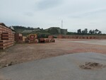 Image 78 - Sale of a company dedicated to the production of bricks - Lot 1 (Auction 6101)
