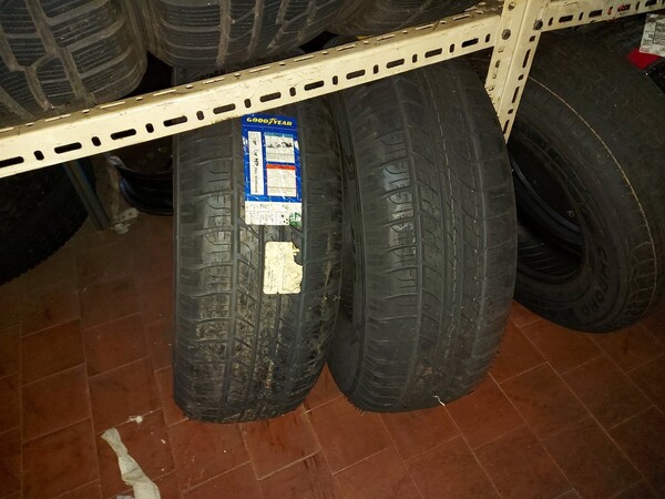 1#6107 Attrezzature da officina e gomme Michelin in vendita - foto 121