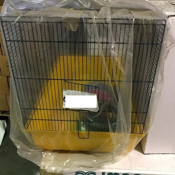 85#6109 Oggetti per animali domestici in vendita - foto 75