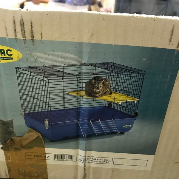 85#6109 Oggetti per animali domestici in vendita - foto 82