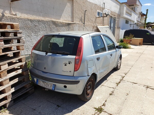9#6117 Autovettura Fiat Punto in vendita - foto 4