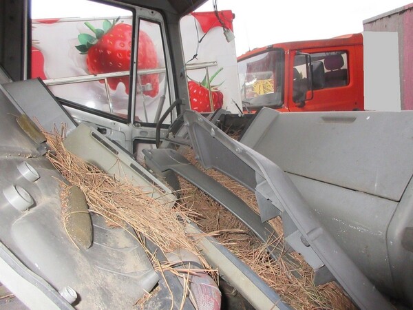 3#6129 Autocarro Iveco refrigerato in vendita - foto 12