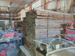 Polar wood planks - Lot 7 (Auction 6134)