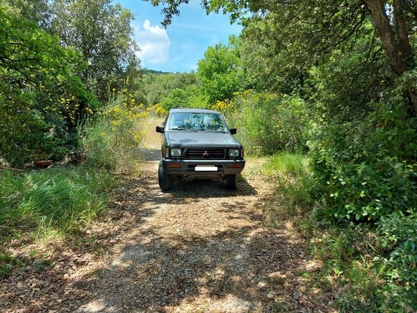 Autocarri in vendita