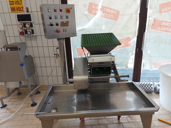 Lavorazione latte e formaggi in vendita