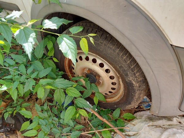 1#6146 Autocarro Ford Transit Connect in vendita - foto 12
