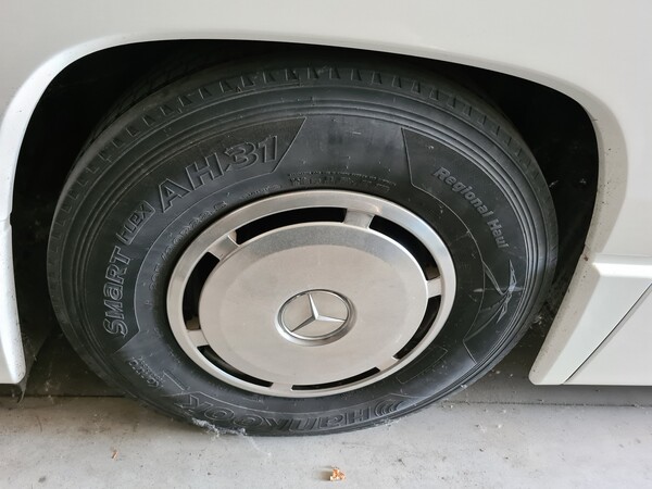 6#6173 Autobus 55 posti Evobus GMBH 0404 53T in vendita - foto 7