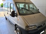 Image 2 - 15-seater bus Fiat Ducato - Lot 9 (Auction 6173)