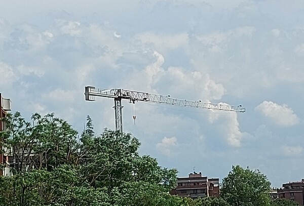 11#6197 Gru Comedil in vendita - foto 6