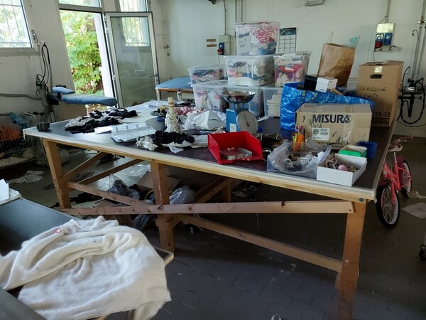 2#6201 Macchinari tessili e arredamento ufficio in vendita - foto 41