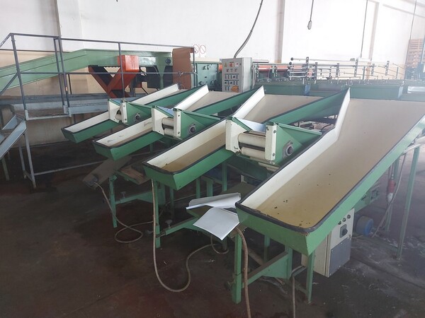 1#6208 Impianto di lavorazione e calibratura agrumi in vendita - foto 44