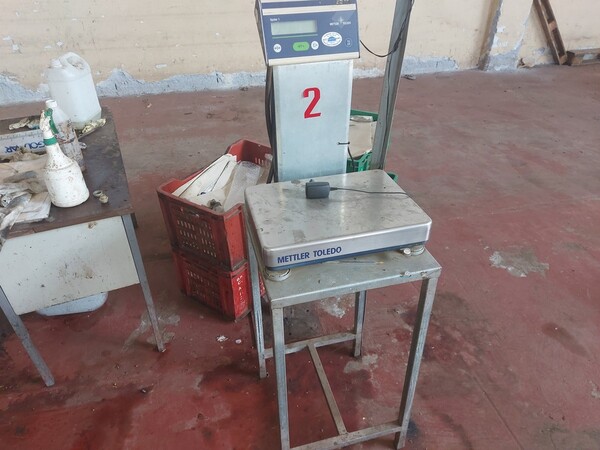 4#6208 Pesatrice Sorma e nastri di alimentazione Sorma in vendita - foto 35