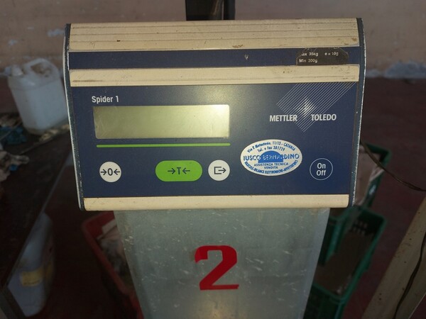 4#6208 Pesatrice Sorma e nastri di alimentazione Sorma in vendita - foto 36