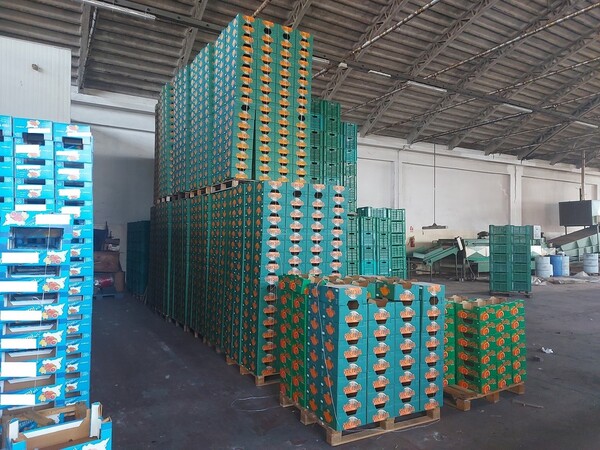 Agroalimentare in vendita