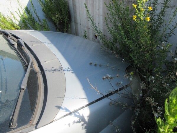 10#6230 Fiat Punto in vendita - foto 3
