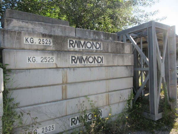 1#6319 Gru a torre Raimondi in vendita - foto 8