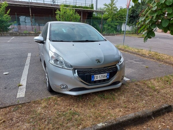 Autocarri in vendita