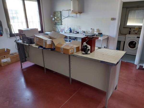 1#6358 Arredo ufficio e attrezzature da laboratorio in vendita - foto 8