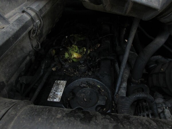3#6370 Autocarro Renault con gru in vendita - foto 21