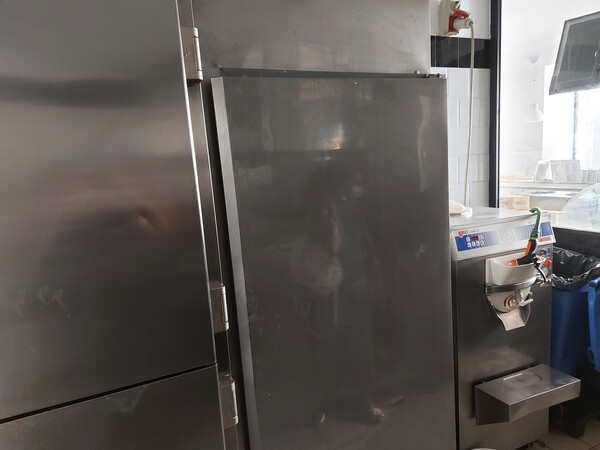 2#6376 Abbattitore marca Irinox e frigo in vendita - foto 3