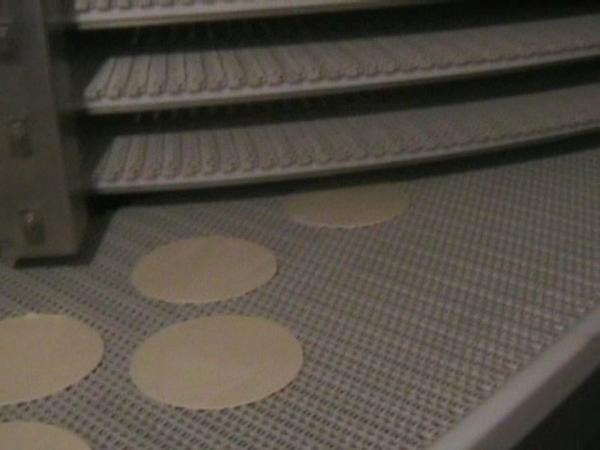 1#639 Cella di lievitazione con nastro trasportatore in vendita - foto 10