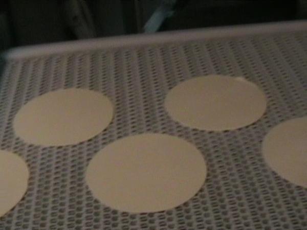 1#639 Cella di lievitazione con nastro trasportatore in vendita - foto 28