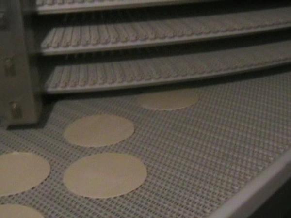 1#639 Cella di lievitazione con nastro trasportatore in vendita - foto 29