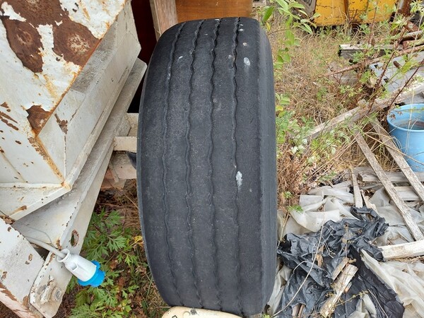 36#6399 Spandicalce Cerasi 2697/7 in vendita - foto 4