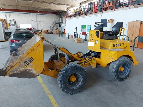 12#6400 Dumper Fiori DF25PX in vendita - foto 1