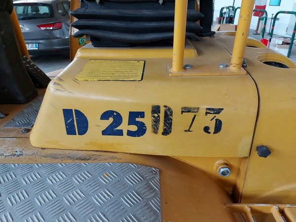 12#6400 Dumper Fiori DF25PX in vendita - foto 4