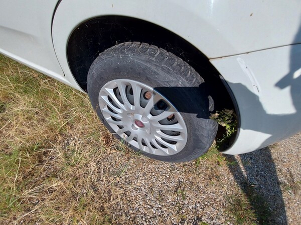 362#6439 Autovettura Fiat Punto in vendita - foto 12