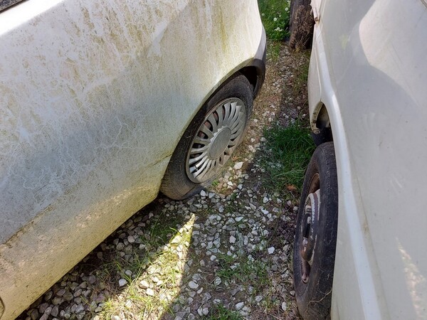 3#6452 Autovettura Fiat Punto Van in vendita - foto 4