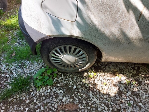3#6452 Autovettura Fiat Punto Van in vendita - foto 7