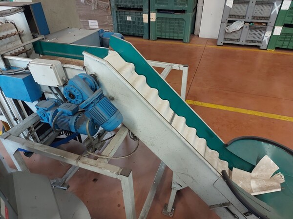 4#6453 Attrezzatura specifica per la lavorazione della frutta o verdura in vendita - foto 9