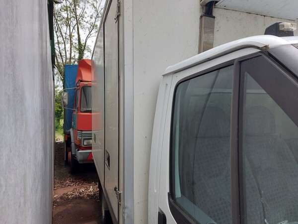 8#6453 Furgone Ford transit con cella frigo in vendita - foto 9