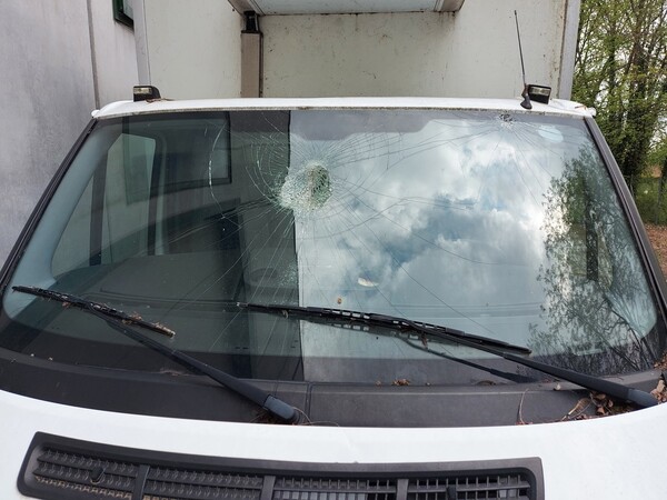 8#6453 Furgone Ford transit con cella frigo in vendita - foto 10
