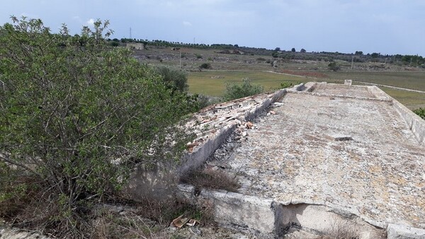 1#6462 Quota del 100% del capitale sociale di Chorio Srl in vendita - foto 5