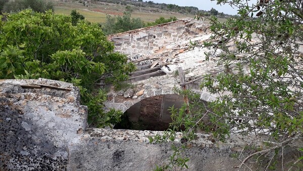 1#6462 Quota del 100% del capitale sociale di Chorio Srl in vendita - foto 6