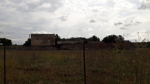 1#6462 Quota del 100% del capitale sociale di Chorio Srl in vendita - foto 12