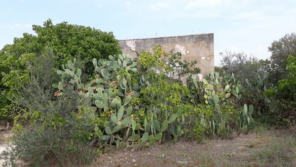 1#6462 Quota del 100% del capitale sociale di Chorio Srl in vendita - foto 13