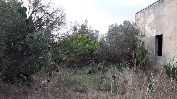 1#6462 Quota del 100% del capitale sociale di Chorio Srl in vendita - foto 21