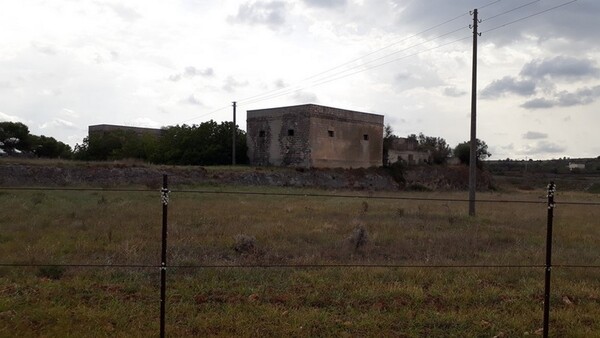 1#6462 Quota del 100% del capitale sociale di Chorio Srl in vendita - foto 22