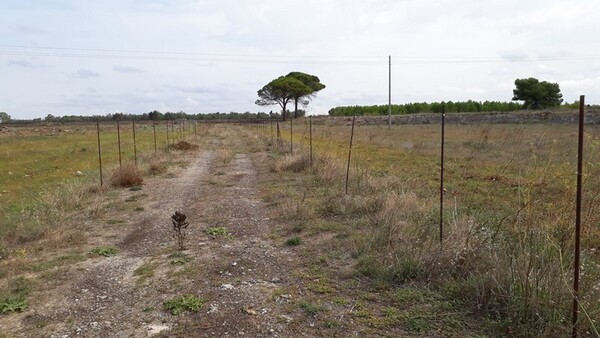 1#6462 Quota del 100% del capitale sociale di Chorio Srl in vendita - foto 26