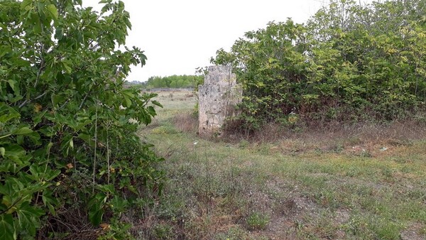 1#6462 Quota del 100% del capitale sociale di Chorio Srl in vendita - foto 27