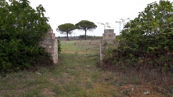 1#6462 Quota del 100% del capitale sociale di Chorio Srl in vendita - foto 28