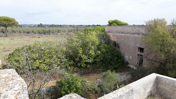 1#6462 Quota del 100% del capitale sociale di Chorio Srl in vendita - foto 32